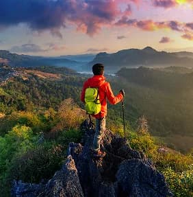 Wild elephants in photorealistic scene